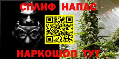 тгк Тверь