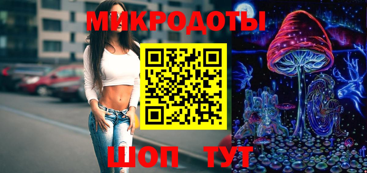Галлюциногенные грибы Psilocybe Нягань